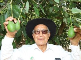 Cumplimiento de estándares de inocuidad consolida presencia de agroexportaciones peruanas en el mercado europeo Cumplimiento de estándares de inocuidad consolida presencia de agroexportaciones peruanas en el mercado europeo