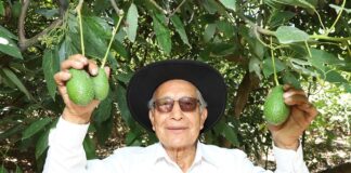 Cumplimiento de estándares de inocuidad consolida presencia de agroexportaciones peruanas en el mercado europeo Cumplimiento de estándares de inocuidad consolida presencia de agroexportaciones peruanas en el mercado europeo