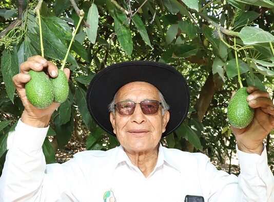 Cumplimiento de estándares de inocuidad consolida presencia de agroexportaciones peruanas en el mercado europeo Cumplimiento de estándares de inocuidad consolida presencia de agroexportaciones peruanas en el mercado europeo