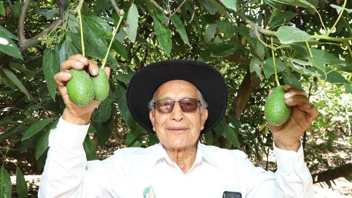 Cumplimiento de estándares de inocuidad consolida presencia de agroexportaciones peruanas en el mercado europeo