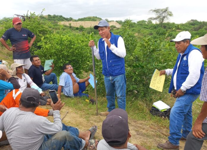 Piura: Agricultores de Tambogrande reciben capacitación para mejorar cultivo de limón