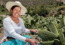 Convocatoria EEMRI 2026 reúne a más de 4 mil mujeres emprendedoras del agro Convocatoria EEMRI 2026 reúne a más de 4 mil mujeres emprendedoras del agro