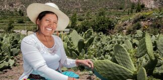 Convocatoria EEMRI 2026 reúne a más de 4 mil mujeres emprendedoras del agro Convocatoria EEMRI 2026 reúne a más de 4 mil mujeres emprendedoras del agro