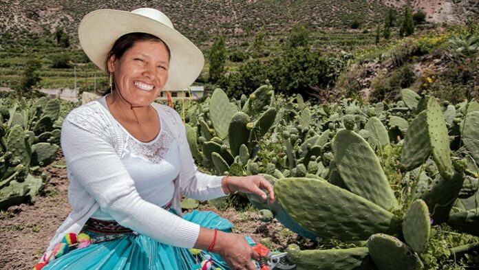 Convocatoria EEMRI 2026 reúne a más de 4 mil mujeres emprendedoras del agro