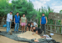 Piura: fortalecen la crianza de porcinos en Cura Mori con asistencia técnica Piura: fortalecen la crianza de porcinos en Cura Mori con asistencia técnica