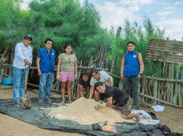 Piura: fortalecen la crianza de porcinos en Cura Mori con asistencia técnica Piura: fortalecen la crianza de porcinos en Cura Mori con asistencia técnica