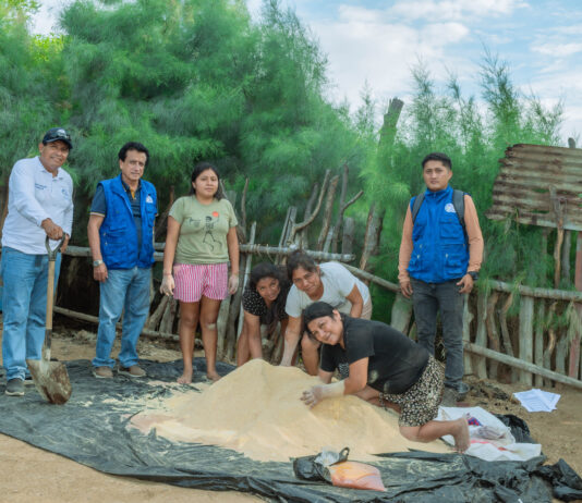 Piura: fortalecen la crianza de porcinos en Cura Mori con asistencia técnica Piura: fortalecen la crianza de porcinos en Cura Mori con asistencia técnica