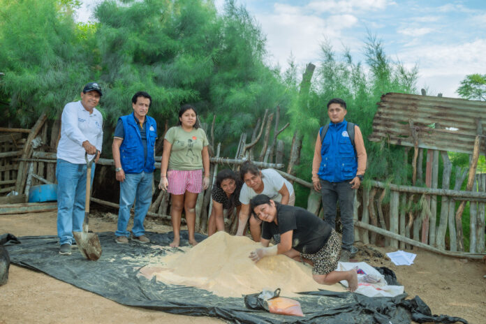Piura: fortalecen la crianza de porcinos en Cura Mori con asistencia técnica