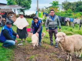 Productores del Alto Piura acceden a asistencia técnica y capacitaciones agrícolas Productores del Alto Piura acceden a asistencia técnica y capacitaciones agrícolas