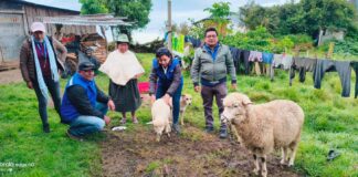 Productores del Alto Piura acceden a asistencia técnica y capacitaciones agrícolas Productores del Alto Piura acceden a asistencia técnica y capacitaciones agrícolas