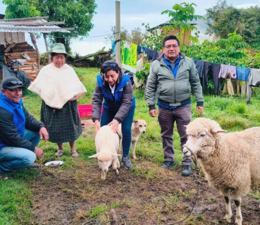 Productores del Alto Piura acceden a asistencia técnica y capacitaciones agrícolas Productores del Alto Piura acceden a asistencia técnica y capacitaciones agrícolas