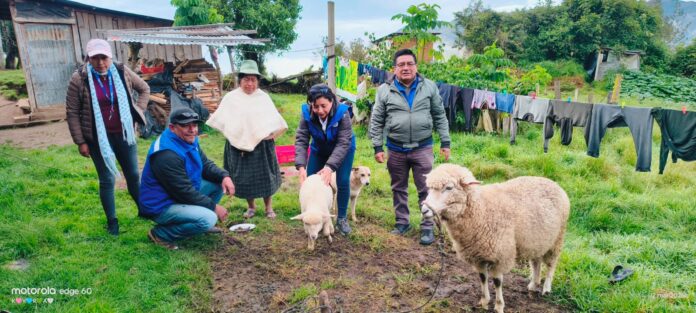 Productores del Alto Piura acceden a asistencia técnica y capacitaciones agrícolas