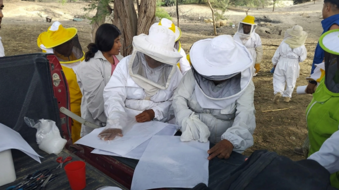 Piura: Familias apicultoras reciben capacitación para mejorar producción de miel