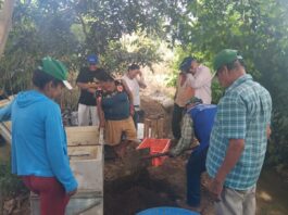 Productores de Sechura reciben capacitación en cultivos orgánicos y sostenibles Productores de Sechura reciben capacitación en cultivos orgánicos y sostenibles