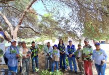 Piura: promueven conservación del agua y reforestación en zonas agrícolas de Cura Mori Piura: promueve conservación del agua y reforestación en zonas agrícolas de Cura Mori