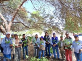 Piura: promueven conservación del agua y reforestación en zonas agrícolas de Cura Mori Piura: promueve conservación del agua y reforestación en zonas agrícolas de Cura Mori