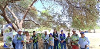 Piura: promueven conservación del agua y reforestación en zonas agrícolas de Cura Mori Piura: promueve conservación del agua y reforestación en zonas agrícolas de Cura Mori