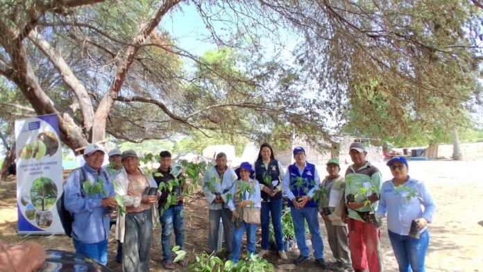 Piura: promueve conservación del agua y reforestación en zonas agrícolas de Cura Mori