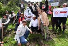 Lanzan campaña «Un millón de árboles» en el Santuario Histórico de Machu Picchu para reforestar zonas afectadas por incendios Lanzan campaña "Un millón de árboles" en el Santuario Histórico de Machu Picchu para reforestar zonas afectadas por incendios
