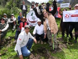 Lanzan campaña «Un millón de árboles» en el Santuario Histórico de Machu Picchu para reforestar zonas afectadas por incendios Lanzan campaña "Un millón de árboles" en el Santuario Histórico de Machu Picchu para reforestar zonas afectadas por incendios