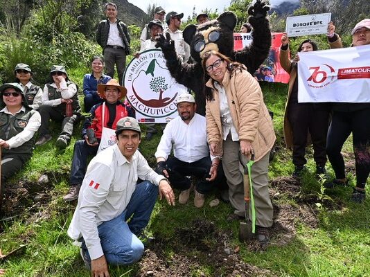 Lanzan campaña «Un millón de árboles» en el Santuario Histórico de Machu Picchu para reforestar zonas afectadas por incendios Lanzan campaña "Un millón de árboles" en el Santuario Histórico de Machu Picchu para reforestar zonas afectadas por incendios