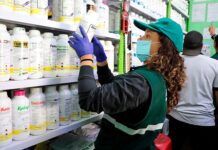 Senasa ejecuta operativo nacional y fiscaliza cerca de 700 establecimientos de plaguicidas en 2026 Senasa ejecuta operativo nacional y fiscaliza cerca de 700 establecimientos de plaguicidas en 2026