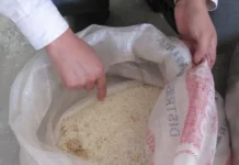 Agricultores advierten riesgo por arroz contaminado proveniente de Asia Agricultores advierten riesgo por arroz contaminado proveniente de Asia