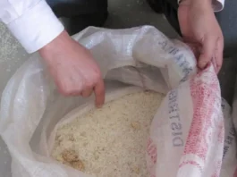 Agricultores advierten riesgo por arroz contaminado proveniente de Asia Agricultores advierten riesgo por arroz contaminado proveniente de Asia