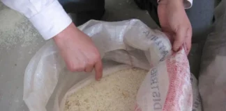 Agricultores advierten riesgo por arroz contaminado proveniente de Asia Agricultores advierten riesgo por arroz contaminado proveniente de Asia