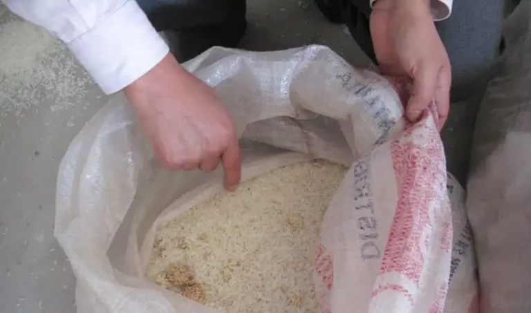 Agricultores advierten riesgo por arroz contaminado proveniente de Asia