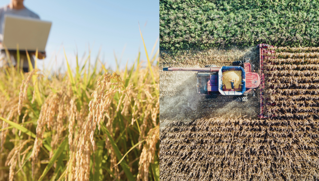 Midagri fortalece la trazabilidad de cadenas agrarias peruanas para mantener acceso al mercado de la Unión Europea