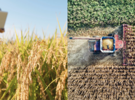 Midagri fortalece la trazabilidad de cadenas agrarias peruanas para mantener acceso al mercado de la Unión Europea Midagri fortalece la trazabilidad de cadenas agrarias peruanas para mantener acceso al mercado de la Unión Europea