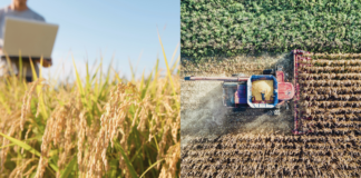 Midagri fortalece la trazabilidad de cadenas agrarias peruanas para mantener acceso al mercado de la Unión Europea Midagri fortalece la trazabilidad de cadenas agrarias peruanas para mantener acceso al mercado de la Unión Europea