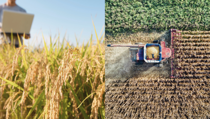 Midagri fortalece la trazabilidad de cadenas agrarias peruanas para mantener acceso al mercado de la Unión Europea Midagri fortalece la trazabilidad de cadenas agrarias peruanas para mantener acceso al mercado de la Unión Europea