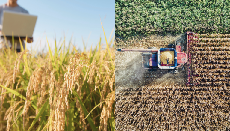 Midagri fortalece la trazabilidad de cadenas agrarias peruanas para mantener acceso al mercado de la Unión Europea