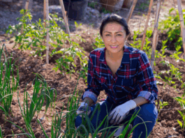 Carbono agrario abre nuevas oportunidades para el agro peruano Carbono agrario abre nuevas oportunidades para el agro peruano