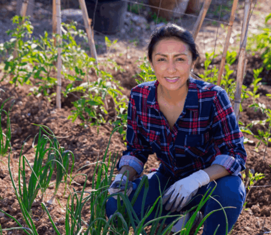 Carbono agrario abre nuevas oportunidades para el agro peruano Carbono agrario abre nuevas oportunidades para el agro peruano
