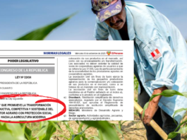Gremio agrario plantea cambios en la Ley 32434 para proteger a pequeños productores agrarios Gremio agrario cuestiona reglamentación de la Ley 32434 del sector agrario
