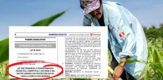 Gremio agrario plantea cambios en la Ley 32434 para proteger a pequeños productores agrarios Gremio agrario cuestiona reglamentación de la Ley 32434 del sector agrario