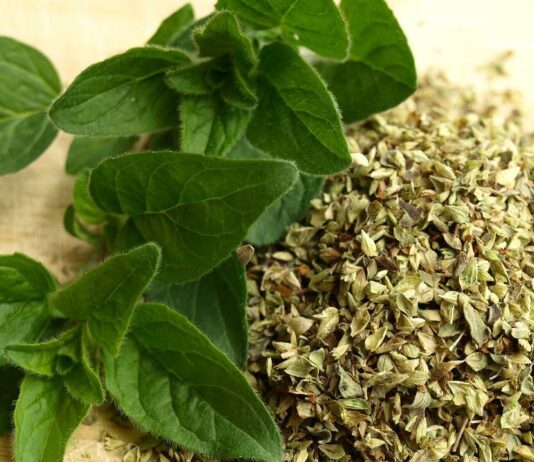 Precio del orégano peruano sube en mercados internacionales pese a menor volumen exportado Precio del orégano peruano sube en mercados internacionales pese a menor volumen exportado