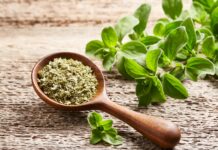 Exportaciones de orégano peruano alcanzaron los US$ 25.7 millones en 2025, su nivel más alto en cinco años