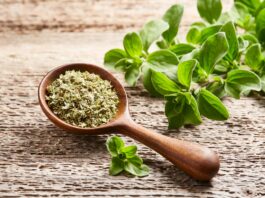 Exportaciones de orégano peruano alcanzaron los US$ 25.7 millones en 2025, su nivel más alto en cinco años