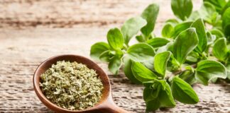 Exportaciones de orégano peruano alcanzaron los US$ 25.7 millones en 2025, su nivel más alto en cinco años