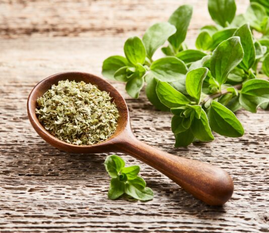 Exportaciones de orégano peruano alcanzaron los US$ 25.7 millones en 2025, su nivel más alto en cinco años