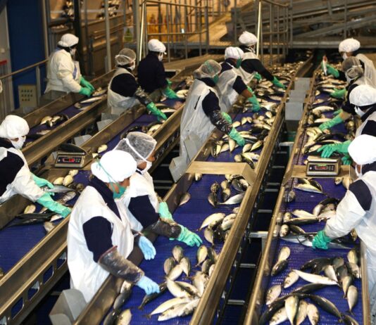 Piura crece más de 4%: ¿cuáles son los sectores que pueden generar mayor empleo?