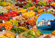 Agroexportaciones crecen 8.4% y superan los US$ 1.288 millones en enero de 2026 Agroexportaciones crecen 8.4% y superan los US$ 1.288 millones en enero de 2026