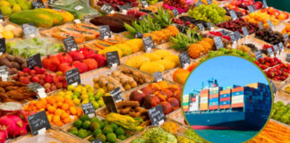 Agroexportaciones crecen 8.4% y superan los US$ 1.288 millones en enero de 2026 Agroexportaciones crecen 8.4% y superan los US$ 1.288 millones en enero de 2026