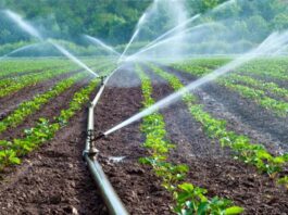 Agro peruano apuesta por tecnología para optimizar uso del agua ante El Niño Costero Agro peruano apuesta por tecnología para optimizar uso del agua ante El Niño Costero
