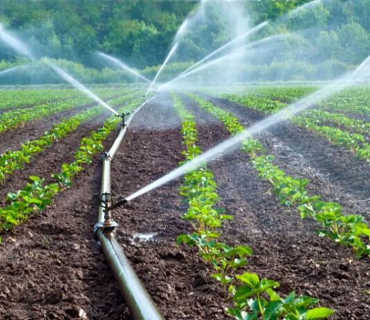 Agro peruano apuesta por tecnología para optimizar uso del agua ante El Niño Costero Agro peruano apuesta por tecnología para optimizar uso del agua ante El Niño Costero