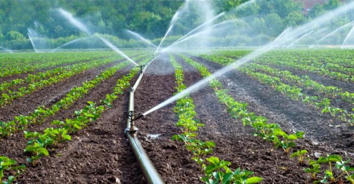 Agro peruano apuesta por tecnología para optimizar uso del agua ante El Niño Costero Agro peruano apuesta por tecnología para optimizar uso del agua ante El Niño Costero